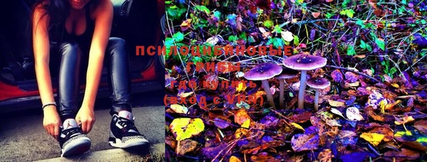 марки lsd Карпинск