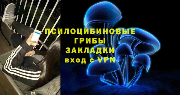 марки lsd Карпинск