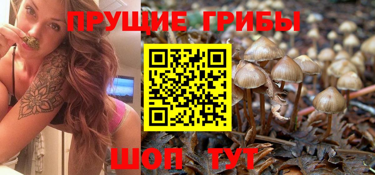 Псилоцибиновые грибы GOLDEN TEACHER  Вход с VPN  Ростов-на-Дону  где найти   Галлюциногенные грибы ЛСД 