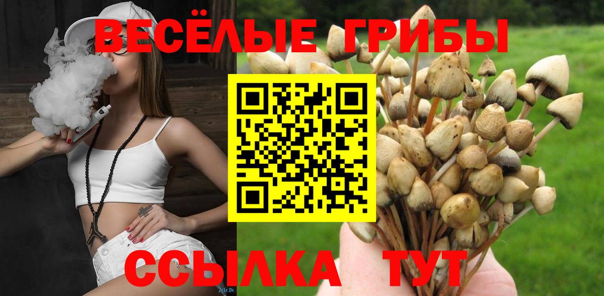 Галлюциногенные грибы мухоморы Ростов-на-Дону